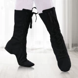 Монгольские танцевальные ботинки Монгольские тибетские тибетские нации танце