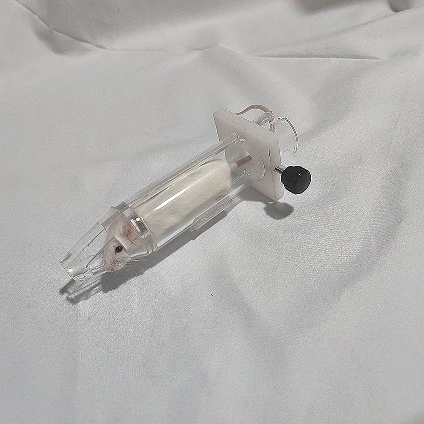 小鼠开合式眼部照射平放式针灸穴位刺激固定器眼部照射针灸固定器