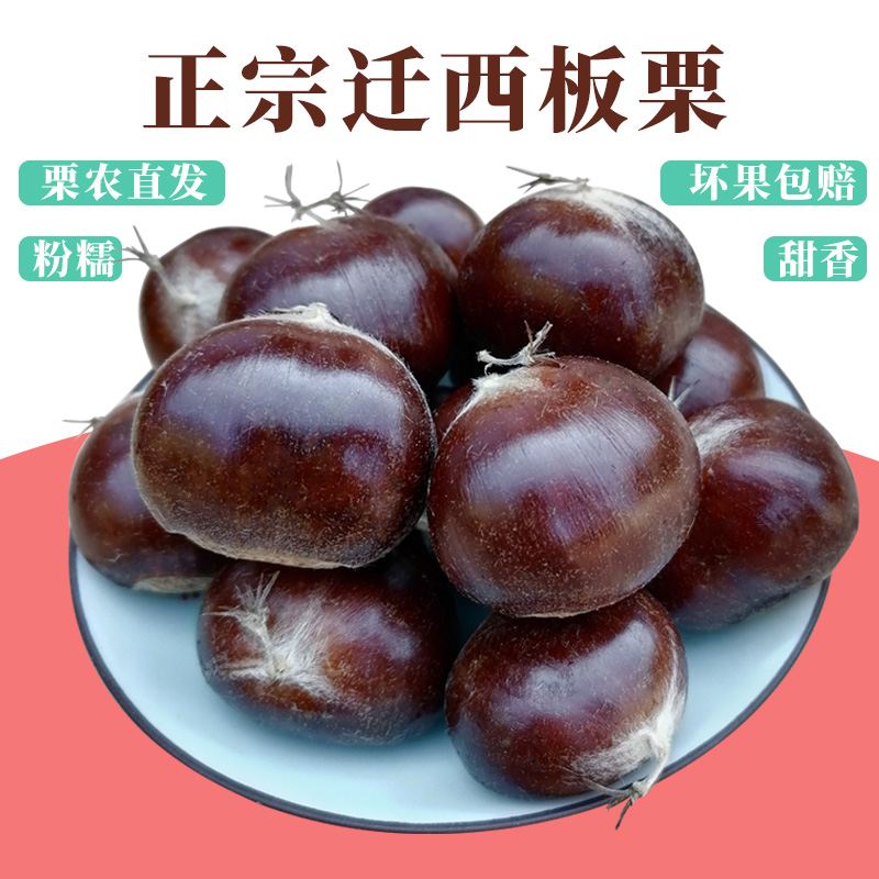 Relocation to the West Chestnut Fresh Raw 2023 Fresh chestnut chestnut raw fresh plate chestnut raw plate chestnut Yanshan oil chestnut New goods-Taobao