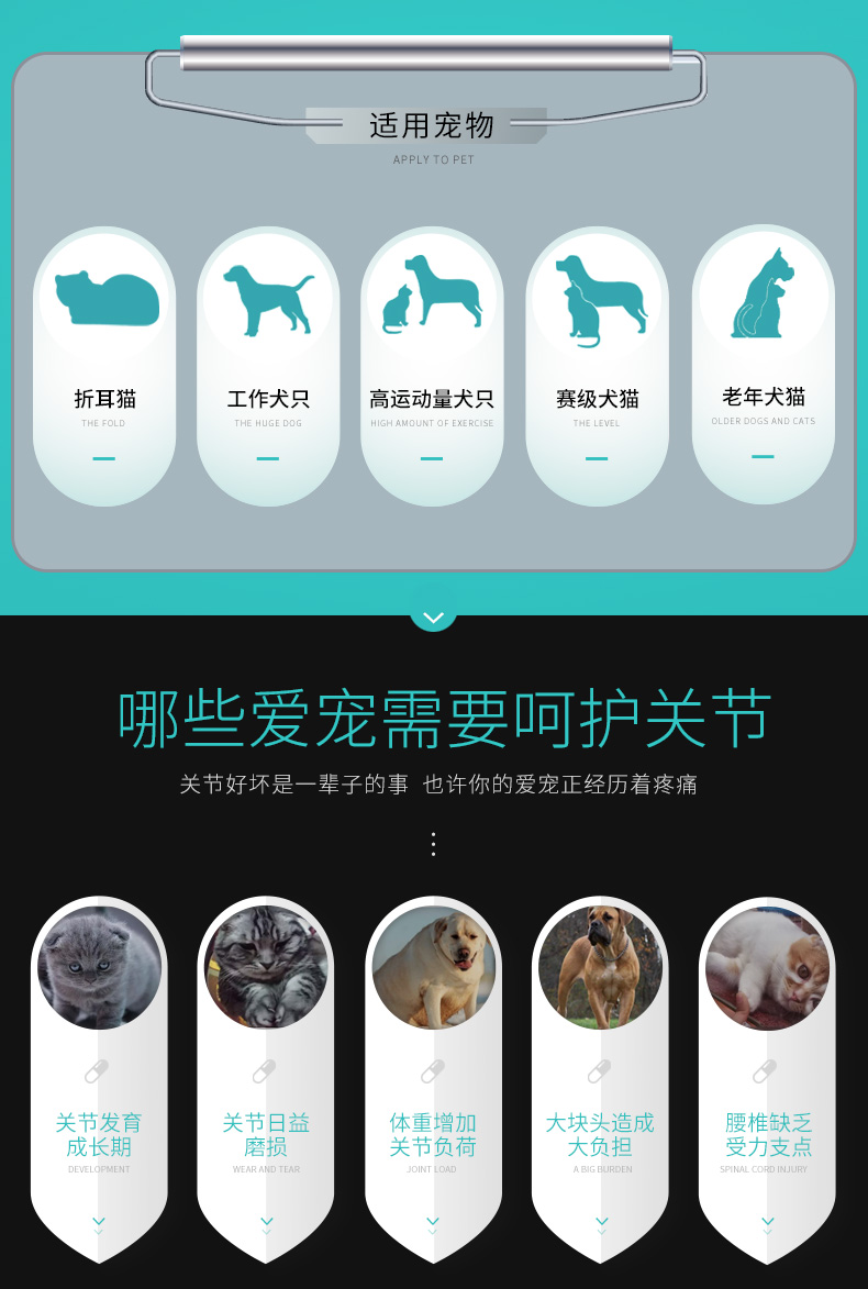 Chondroitin mèo và chó Viscon cá mập chondroitin dog 喵 sao gấp mèo chondroitin mèo cung cấp axit amin - Cat / Dog Health bổ sung 	sữa cho mèo con uống