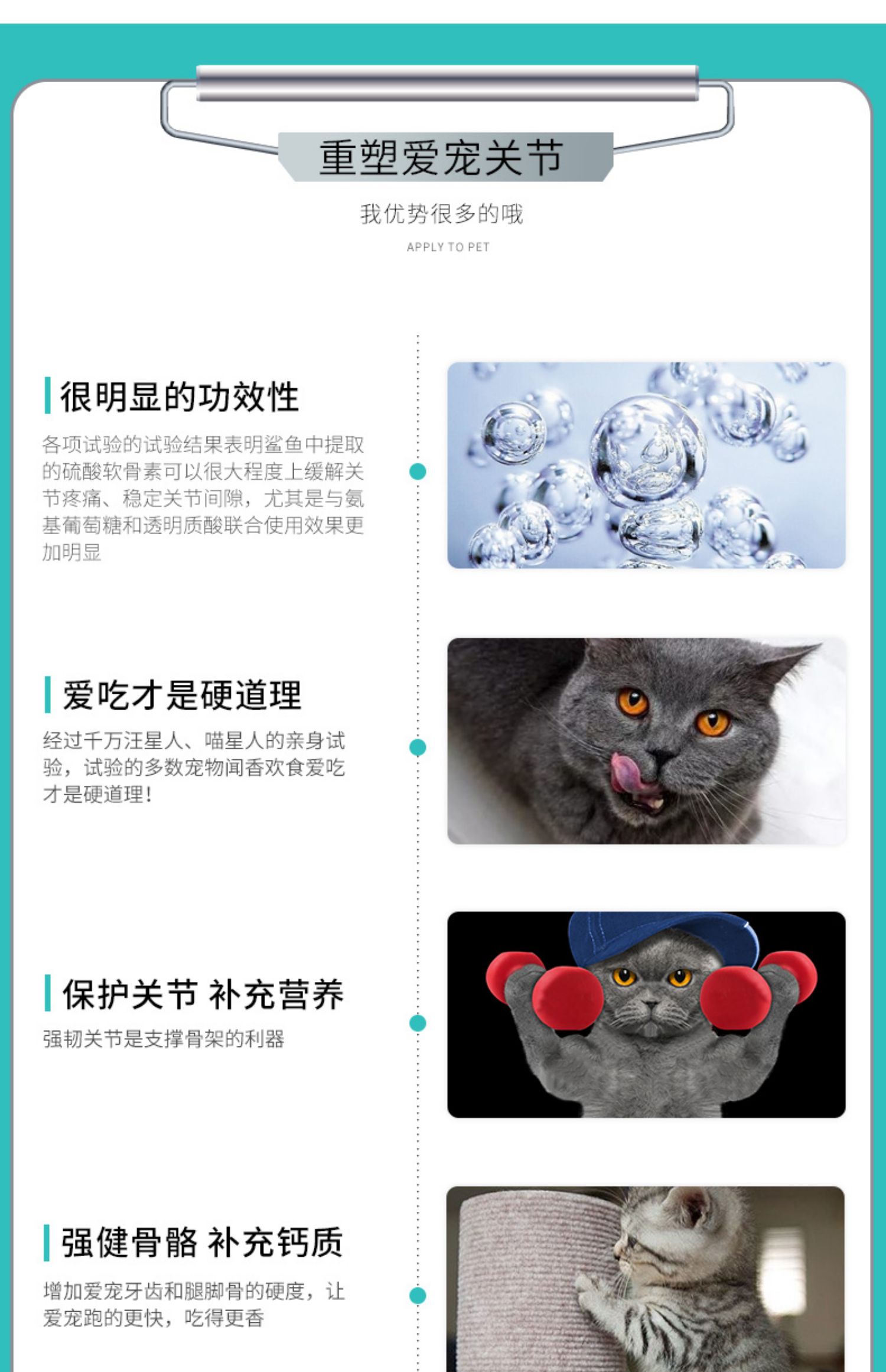 Chondroitin mèo và chó Viscon cá mập chondroitin dog 喵 sao gấp mèo chondroitin mèo cung cấp axit amin - Cat / Dog Health bổ sung 	sữa cho mèo con uống