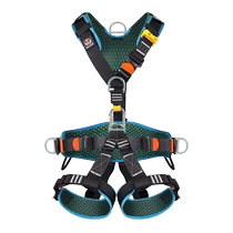 Gorm five-point safety belt national standard full-body fall suspension Z-Y high-altitude work safety belt GM5815