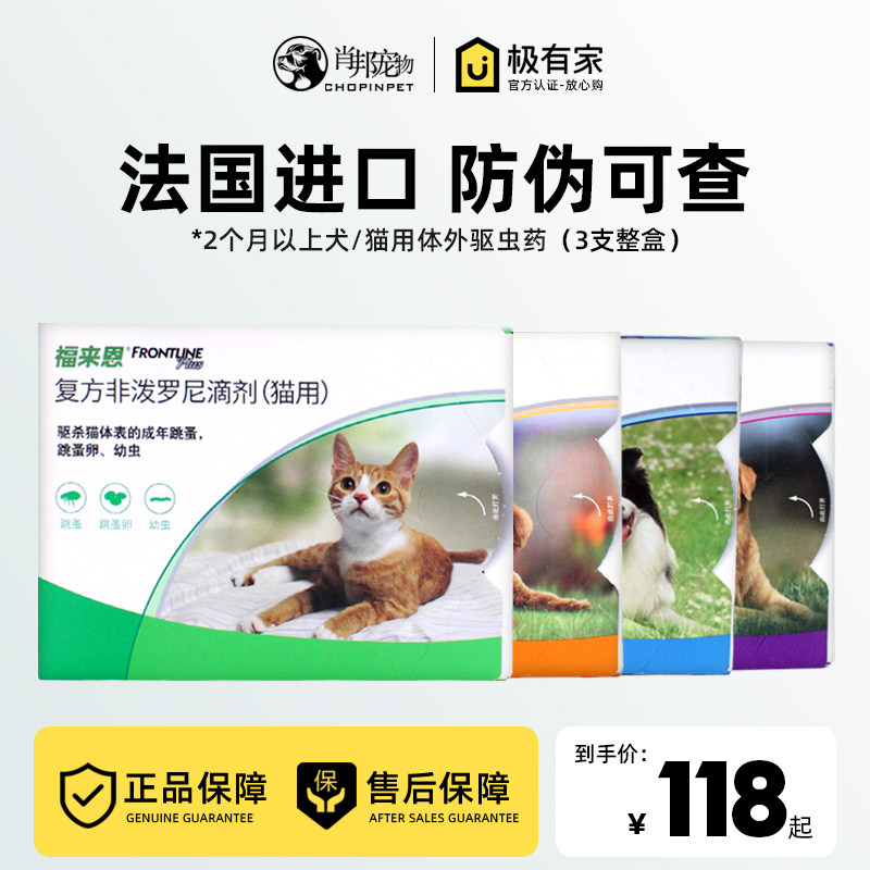 Follén kittens in vitro insect repellent dogs deinsectiate flea drops Pet Teddy Small Midsize Dogs 3