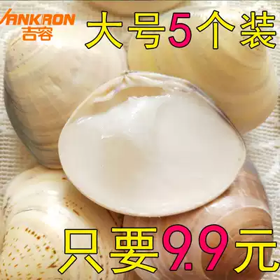 Large old Shanghai Shell oil clam oil crooked oil, stick oil, hand and foot to prevent dry cracking domestic goods