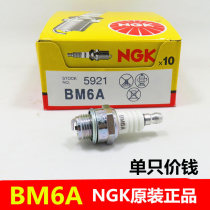 Spark plug BM6A lawn mower brush cutter hedge trimmer landscaping chain saw Yacht two-stroke fire nozzle Steele