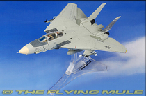 FOV 85040 1:72 US F-14A TOMCAT PANDA FIGHTER SWORD SQUADRON SPECIAL OUT of print