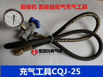 CQJ type nitrogen inflator QC12Y shearing machine NXQ accumulator nitrogen filling tool high pressure cylinder inflatable valve
