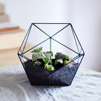 Creative flower pot succulent plant flower pot glass flower room flower Ware r micro landscape geometric flower room designer utensils