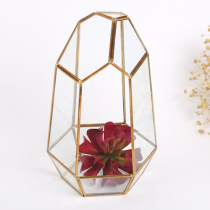 Retro old glass flower house Moss micro landscape geometry glass flower Ware immortal flower box