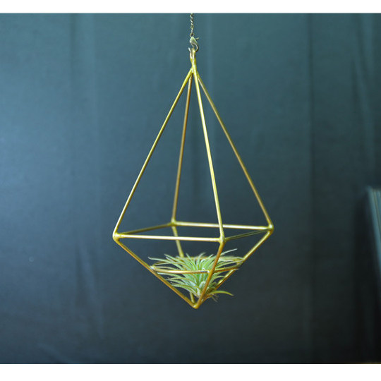 Rice Fruits Custom Creativity Wedding Flowers Shelf Air Pinewood Geometric Diamond Shaped Floral Bronze Frame Plant Shelf Wall Decoration Hanging Accessories