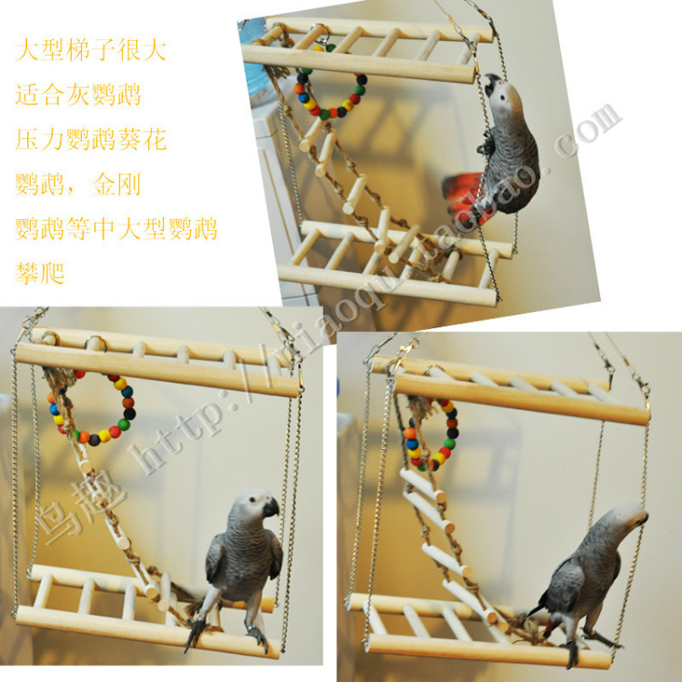 Chim Đồ chơi Thang đu Leo thang Thang Vẹt Đồ chơi Đôi Cầu thang Lớn Xám Vẹt Vật tư - Chim & Chăm sóc chim Supplies long chim dep