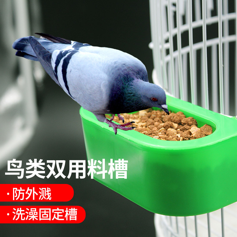 Parrot starling bird food box Carrier pigeon racing pigeon Splash-proof square food tank Budgerigar food tank Bird cage accessories