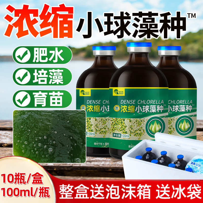 Small Chlorella algae species follicle algae aquaculture fattening algae green algae green alga microalgae culture medium silicon alga seed aquatic