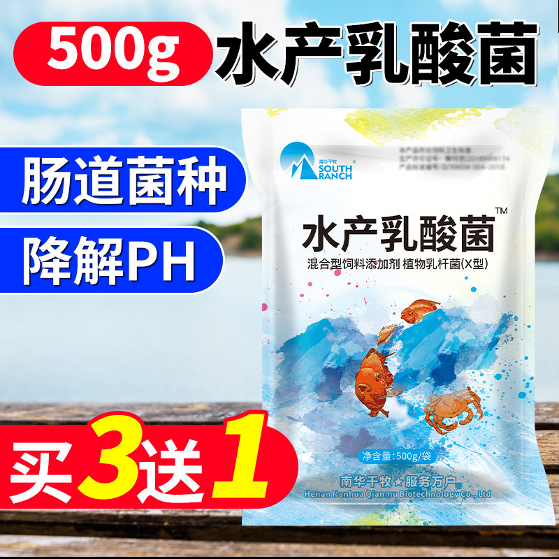 Aquatic Lactic acid bacteria concentrated powder Control vibrio ph reduction Nitrite ammonia lactic acid bacteria powder Aquaculture