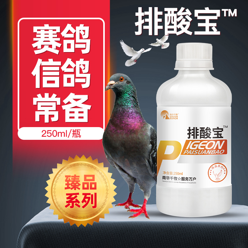 Acid-draining Baoshin black tongue Tongue Purple Breast Excluded Lactic Acid Dove With Speed Increase Resistance Non-Pigeon Medicine Big Full Weight With Speed Increase Resistance Of Racing Pigeon