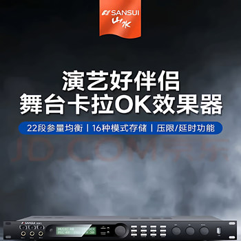 Shanshui dsp2 karaoke digital effector home ktv conference room microphone anti-howling