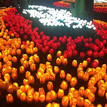 Tulip flower round ball rose Sea Park ground lawn lighting solar outdoor waterproof Luminous lantern