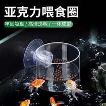 (Wonderful) Fish tank feeder red worm cup small aquarium fish feeding ring floating fish feeder feeding ring