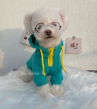 Интернет -знаменитость Ins Tide Card Pet Dog Xuenari лучше, чем Bemepomefa fa dou small Dog Cat Зима чистое хлопок тепло