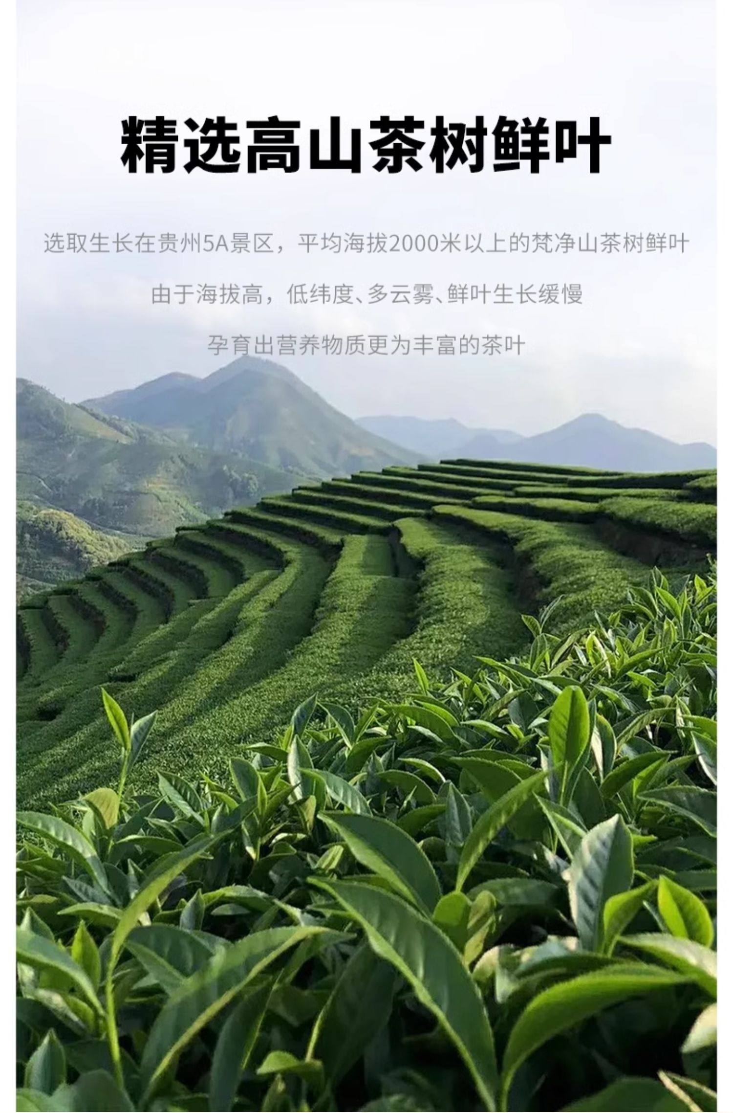 贵茶  欧标纯抹茶粉30g/包 冲饮小包装 生椰牛奶拿铁烘焙