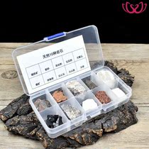 Rock Mineral Specimen Box 4th Grade Crystal Ore Display Stone Science Teaching Aids Materials Geological Science equipment