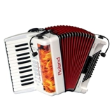 Аккордеон, беспроводные музыкальные инструменты, профессиональный беспроводной микрофон