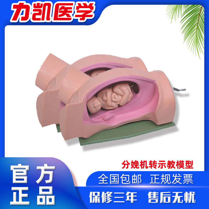 力凯LK/F6高级分娩机转示教模型妇幼产科胎儿接生助产演示过程难