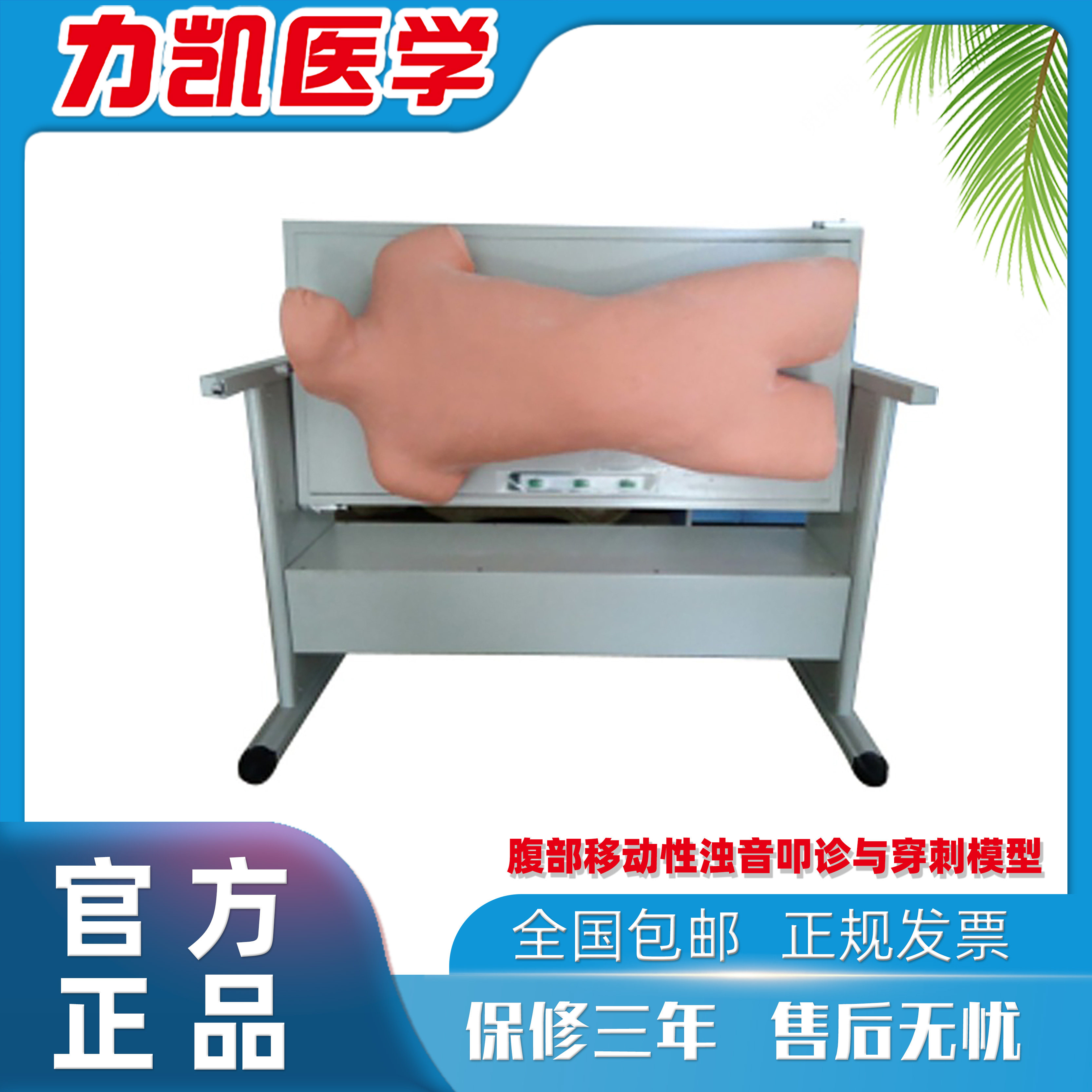 力凯医学LK-CFQ124B腹部移动性浊音叩诊与腹腔穿刺训练模型