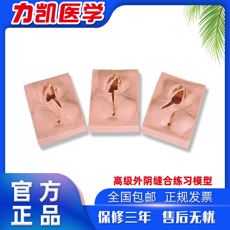 力凯LK/H高级外阴缝合练习模型分娩训练妇科检查反复操作模拟人