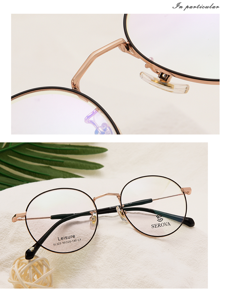 Montures de lunettes en Alliage de nickel - Ref 3140836 Image 11