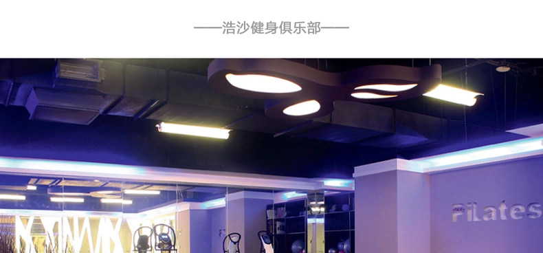 Sac de sport - Ref 17386 Image 28