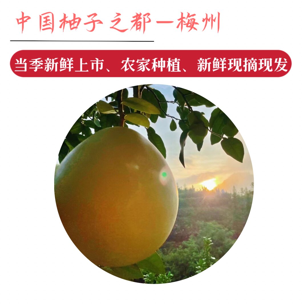 梅州农家种植