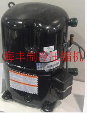 TAG4546T TAG4546T TAG4561Z TAG4573Z TAG4573T TAG4573T new original French Taicang compressor