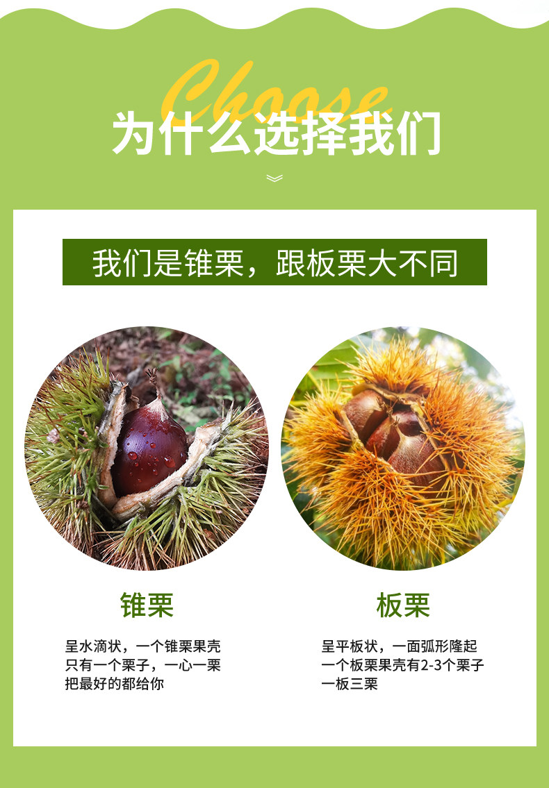 【中国直邮】 爱生活 建瓯锥栗  板栗  农家现摘  中果直径约(2.0-2.3cm)  500g/袋