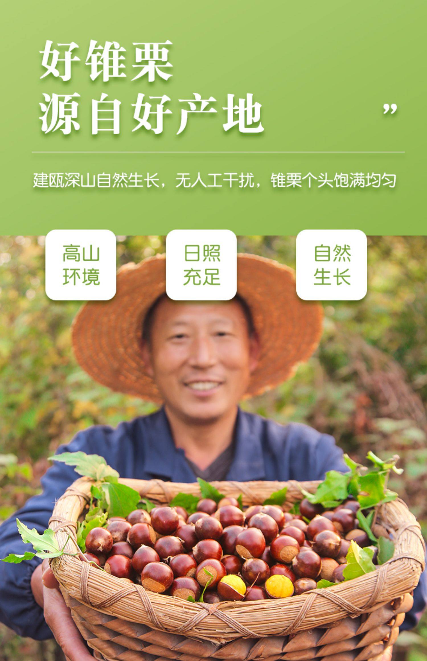 【中国直邮】 爱生活 建瓯锥栗  板栗  农家现摘  中果直径约(2.0-2.3cm)  500g/袋