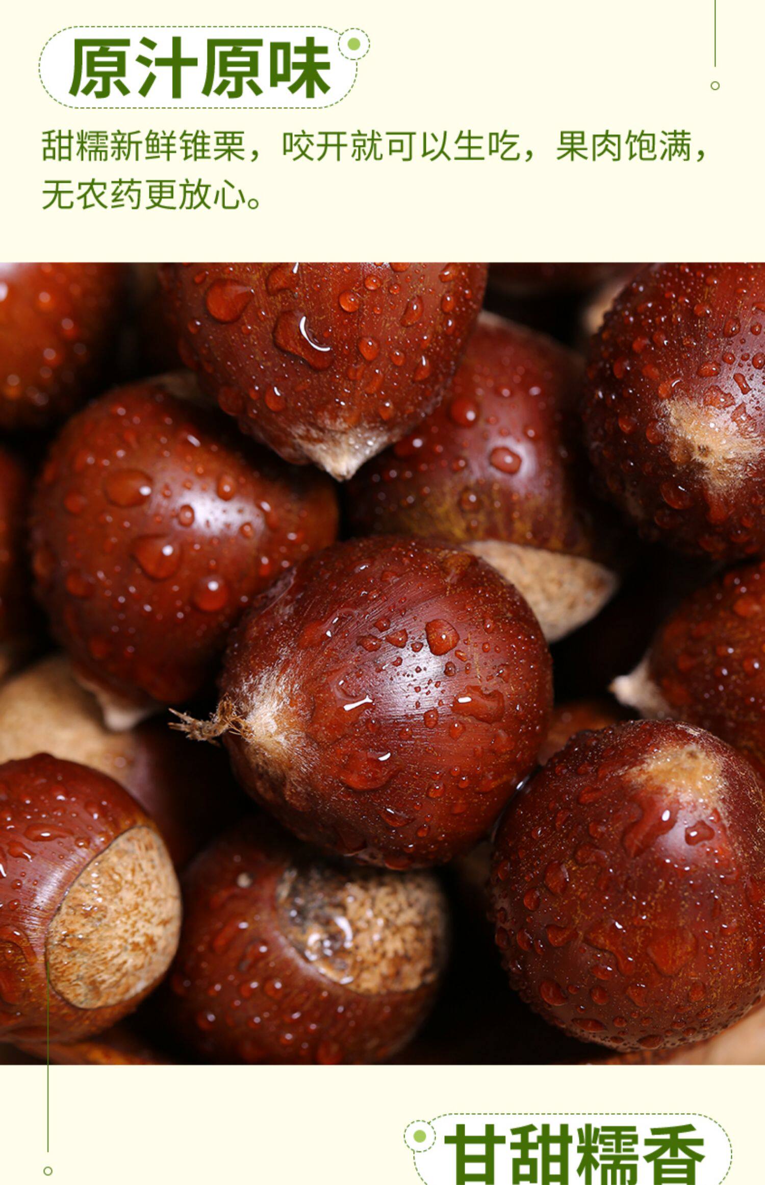 【中国直邮】 爱生活 建瓯锥栗  板栗  农家现摘  中果直径约(2.0-2.3cm)  500g/袋