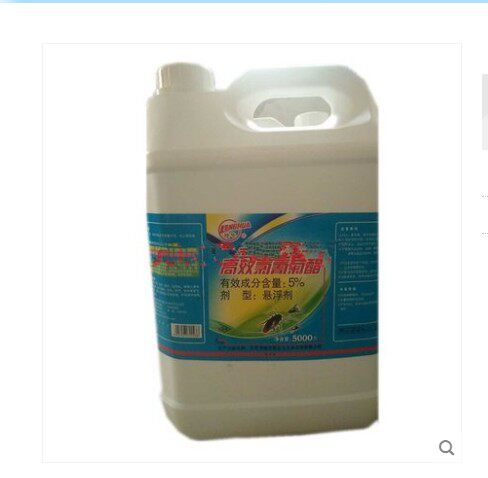 Longhua 5% High efficiency Chlormethrin suspension Suspension Spray Aerosol Kills Cockroach Kill German Cockroach 5L