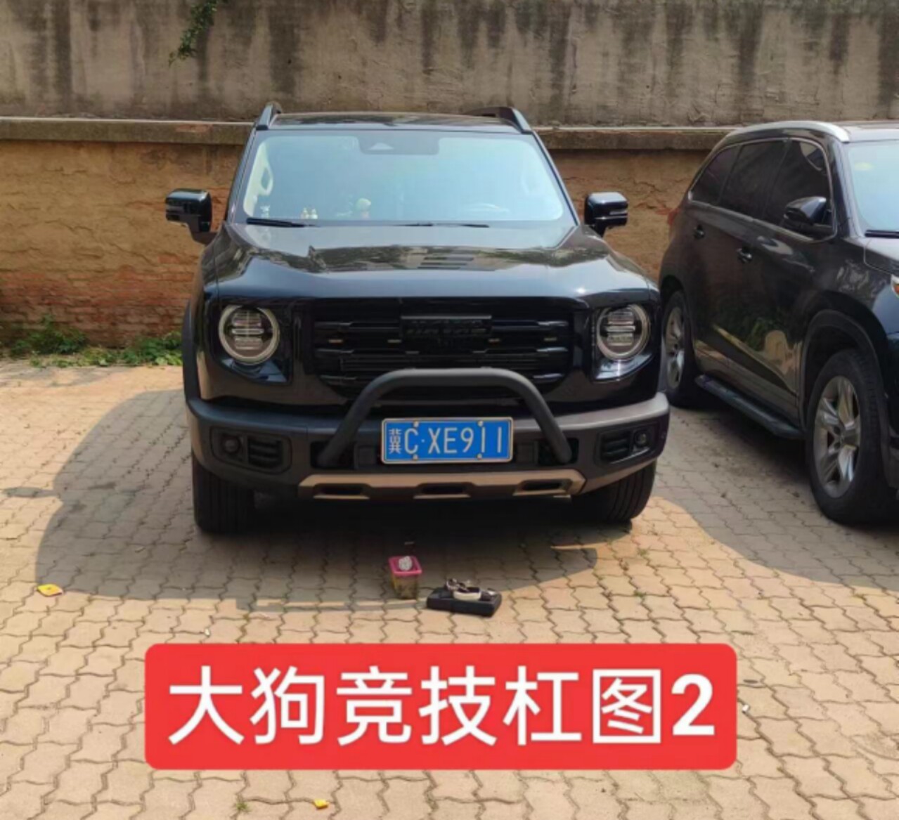 Haval Big Dog Guard Bar Бар-будка Бампер Спортивный бар