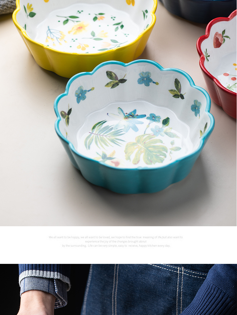 Fruit dessert salad bowl, lovely ins creative web celebrity ceramic bowl rainbow such as bowl character of the four seasons jobs household utensils