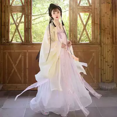 Wei Jin Style ancient costume Hanfu Traditional Hanfu women's big sleeve shirt chest skirt Traditional Hanfu women's clothing