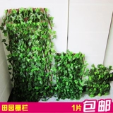 Украшение детского сада может растянуть забор садового забора для барбекю с листьями с листьями с выдвижным семейным забором.