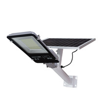 New rural small golden bean solar street light outdoor landscape toothbrush LED solar garden light direct sales