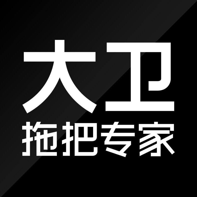 大卫拖把专家企业店的LOGO
