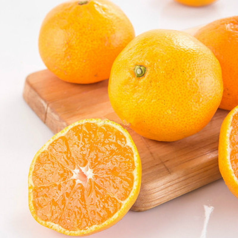 涌泉蜜桔：来自黄岩的独特甜蜜