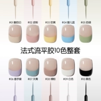 Весна и летняя французская выравнивание клея 10 цветов набор