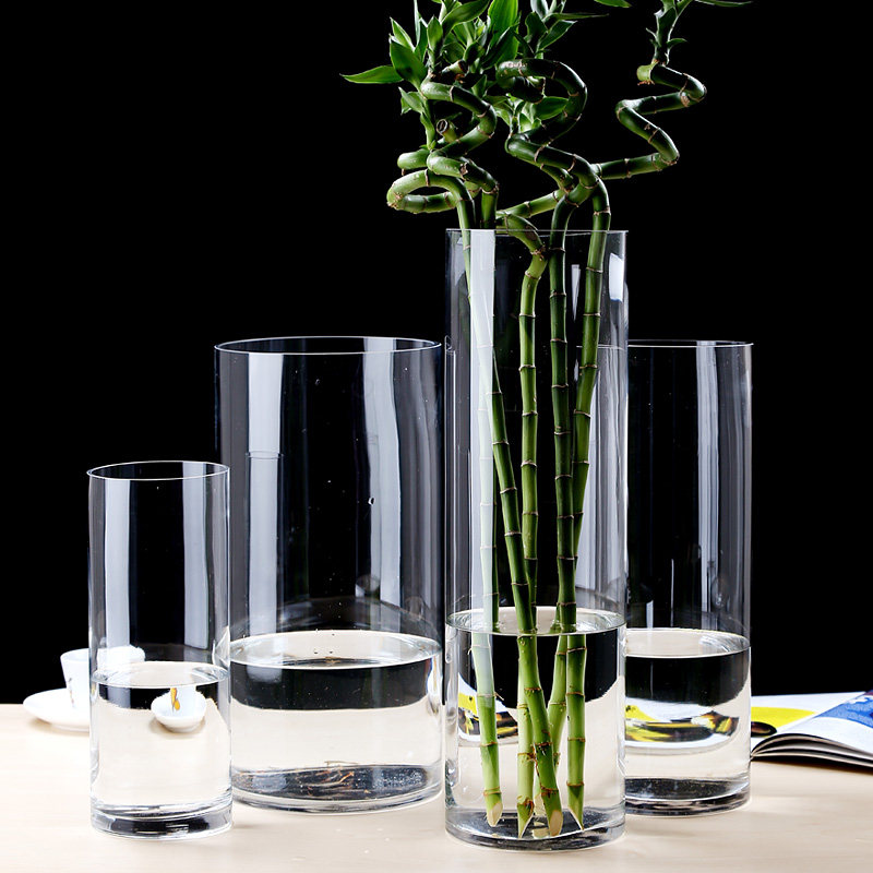 Buy Rich bamboo vase glass transparent Extra large floortoceiling