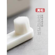 Kojima dog toothbrush pet toothbrushing with ten thousand Maute soft toothbrush suitable for small dog medium-sized dog large puppies