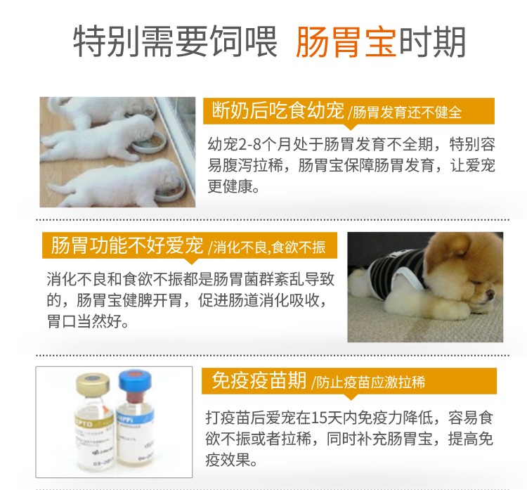 Thú cưng nhỏ dạ dày kho báu thú cưng sữa cho chó