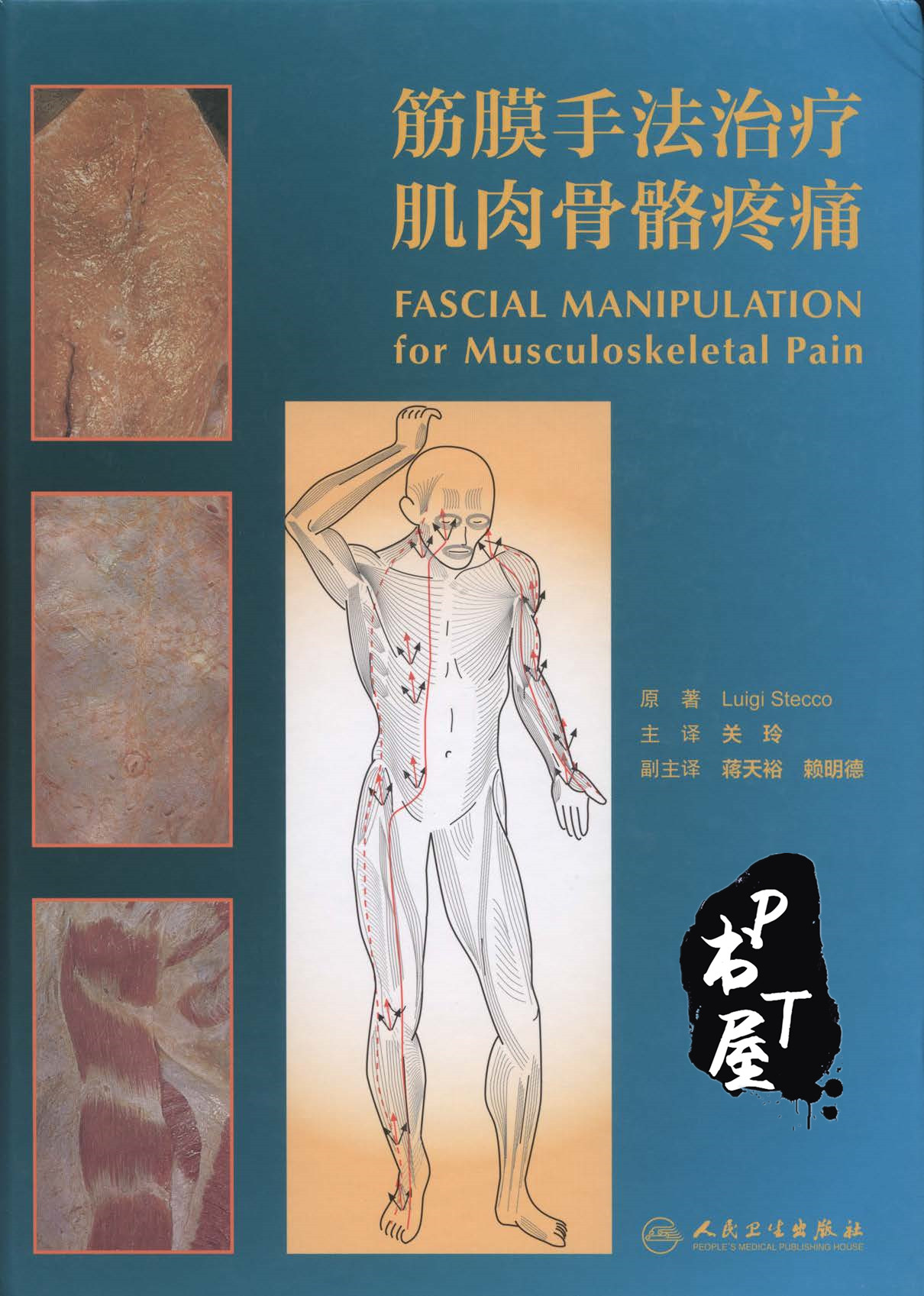 筋膜手法治疗肌肉骨骼疼痛 Book Cover