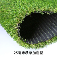 25mm